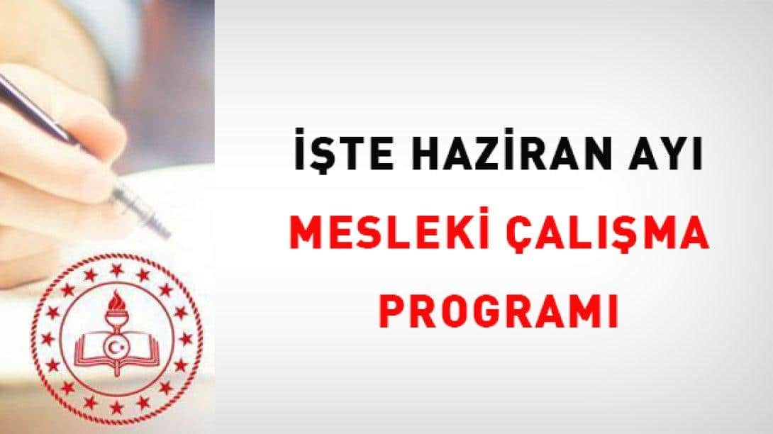 2023-2024 24 HAZİRAN MESLEKİ ÇALIŞMA SEMİNERİ